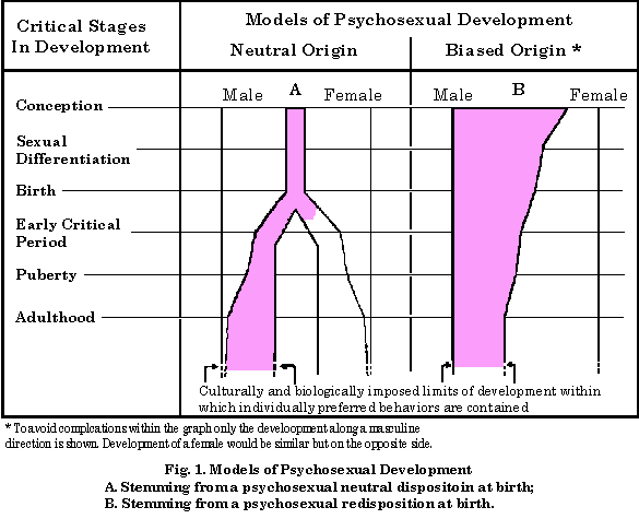  Graph: Models of Psychosexual Development 