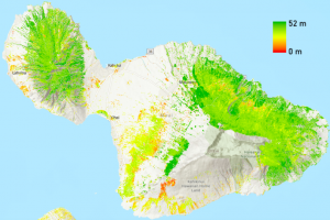 The 30-meter resolution forest height map covers the mountainous areas in Maui.