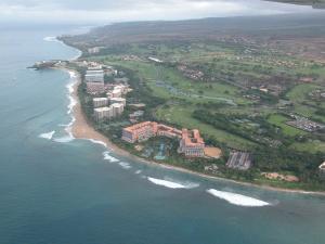 Aerial photograph of Kaanapali Beach, west Maui, Hawaii (credit: Andrew Short, University of Sydney)