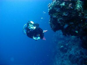 Graduate student Annick Cros conducting coral reef research.