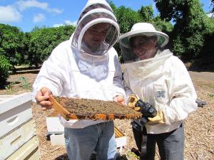 UH Honeybee Project researcher Ethel Villalobos, right, and staffer Scott Nikaido.