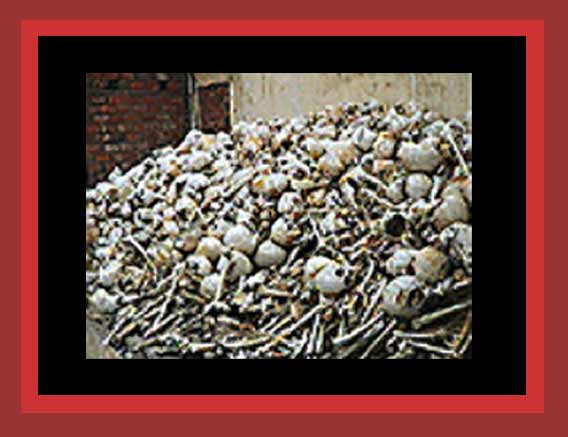 Skulls of the Cambodian murdered