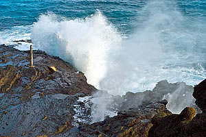  Blowhole on Hawaiian coast.  Photo by Milton Diamond.  