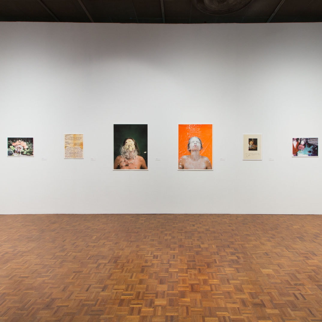 photo of gallery installation