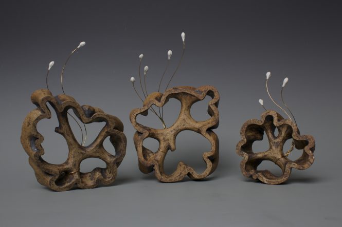 Ceramic works by Shannon Webb