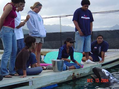 Shark Release 035