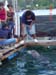 Shark Release 024