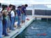 Shark Release 027