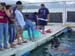 Shark Release 032