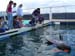 Shark Release 038