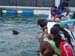 Shark Release 044