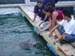 Shark Release 048