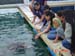 Shark Release 051