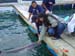 Shark Release 054