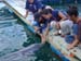 Shark Release 057