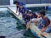 Shark Release 059