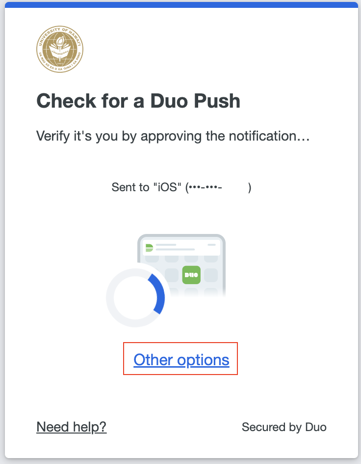 Duo screen with the Other options link outlined in red.