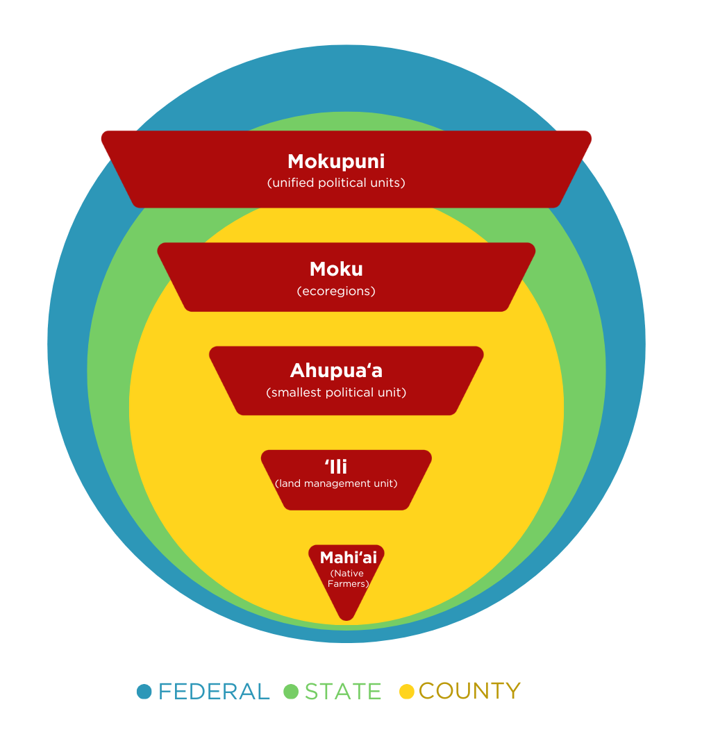 Cultivating a Tradition-Informed and Regenerative Food System