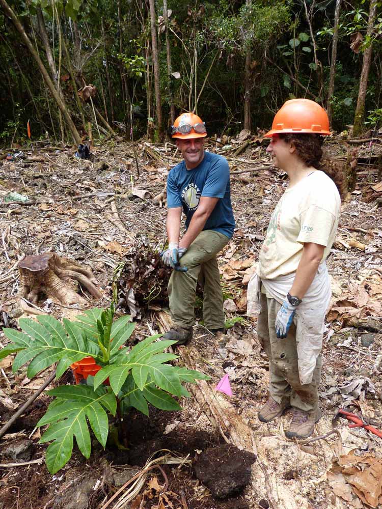 Two team members stand behind an ulu sapling and smile at one another