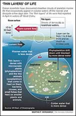 informational illustration explaining plankton ecosystem