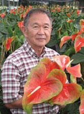 Harold Tanouye with Tropic Sunrise anthurium