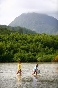 At the Waikalua Loko Iʻa