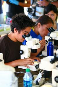 Students examine properties of limu