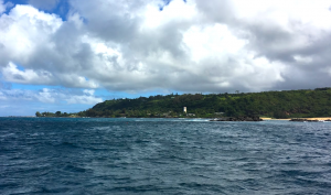 Waimea Bay, O'ahu, where the researchers conducted field work. Credit: Sean Swift