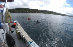 Researchers diving in Waimea Bay. Credit: Sean Swift
