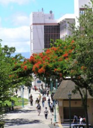 Honolulu CC campus