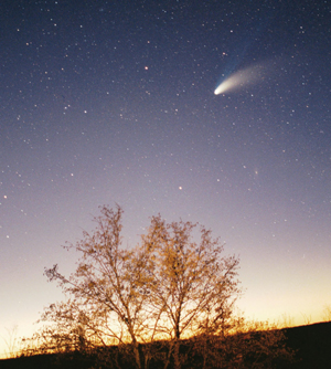 comet flying over trees