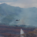 Pacific Islands wildfires highlight vulnerability to climate change and how to address it