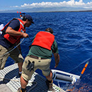 Ocean sensors help UH researchers understand Hawaiʻi Island aquifers