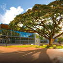UH Mānoa: A beautiful place to learn