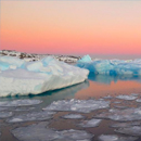 Icebergs delay Southern Hemisphere future warming