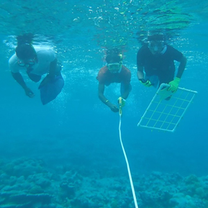 UH Hilo trains budding Marshallese marine scientists