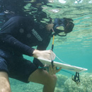 UH Hilo students apply data science to reef research