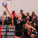 Volleyball stars earn top UH Hilo athletic honors