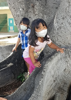 children climbing tree