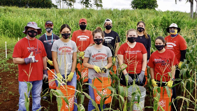 students harvesting corn