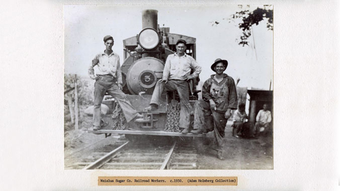 old photo of sugar cane workers
