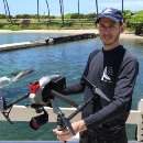 Dolphin reproductive research aided by UH drones