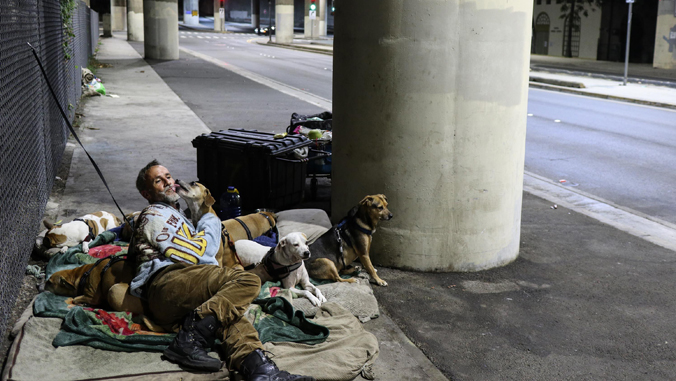 man sitting on ground next to street with dogs