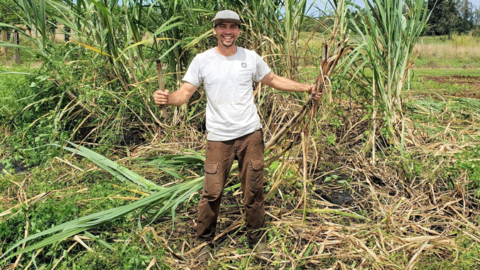 man in sugarcane field