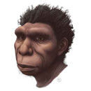 Potential direct ancestor of modern humans identified