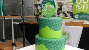 50 year anniversary cake