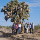 UH Hilo students take geology excursion to Death Valley, Mojave Desert and Sierra Nevada