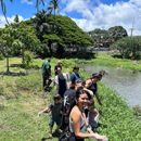 Honolulu CC  students ‘ballin’ for sustainability