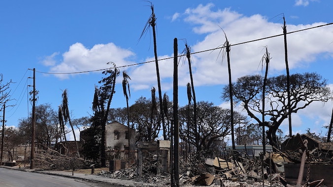 maui wildfire scene