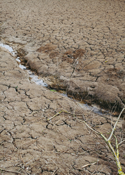 Increased heavy rains, drought caused by human-induced climate